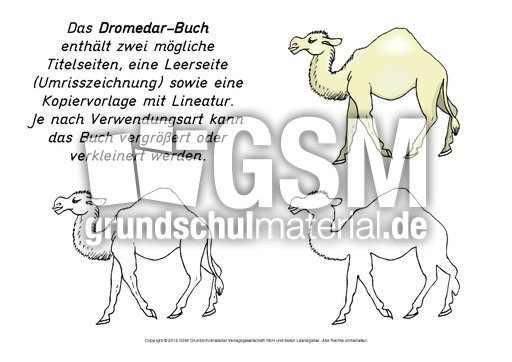 Mini-Buch-Dromedar-2.pdf